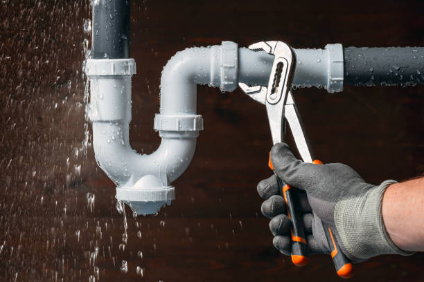 Professional Plumbing technician working in Delta, AL
